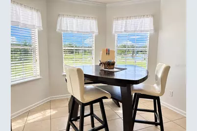 3901 Flowering Orchid Lane, Kissimmee, FL 34744 - Photo 12