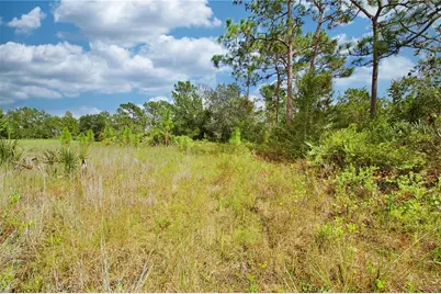 Pierre Avenue, Saint Cloud, FL 34773 - Photo 20