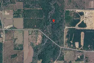 33-4N-20-29000-010-0010, Defuniak Springs, FL 32433 - Photo 1