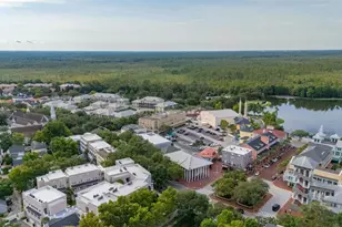 834 Deer Woods Rd, Celebration, FL 34747 - Photo 58