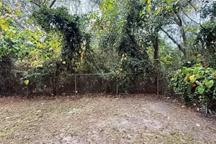 213 Dr Martin Luther King Jr Ave, Wildwood, FL 34785 - Photo 10