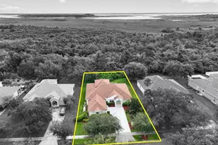 2213 Wandering Oak Terrace, Kissimmee, FL 34746 - Photo 54