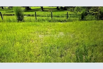 County Road 727, Webster, FL 33597 - Photo 1