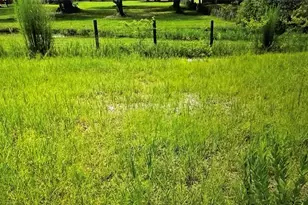 County Road 727, Webster, FL 33597 - Photo 1