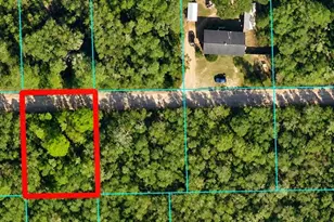 NE 233 Ln, Fort Mc Coy, FL 32134 - Photo 1