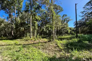 0 SW 16th Pl, Ocala, FL 34481 - Photo 1