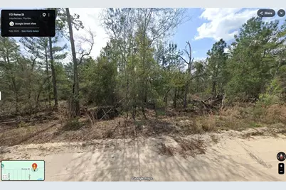 113 Rome Avenue, Interlachen, FL 32148 - Photo 2