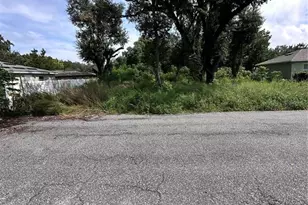 1111 Stinson St, Leesburg, FL 34748 - Photo 6