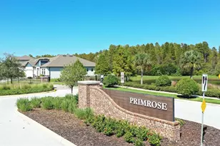 21481 Snowy Orchid Terrace, Land O Lakes, FL 34637 - Photo 32