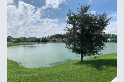 20651 Monza Loop, Land O Lakes, FL 34638 - Photo 12