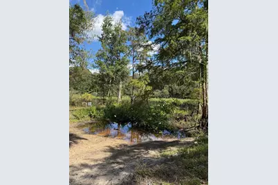 2400 N Junglecamp Road, Inverness, FL 34453 - Photo 4