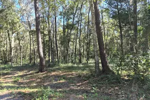 0 SW 16th Pl, Ocala, FL 34481 - Photo 1