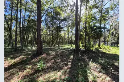 0 SW 16th Place, Ocala, FL 34481 - Photo 2
