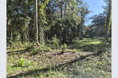 0 SW 16th Place, Ocala, FL 34481 - Photo 4