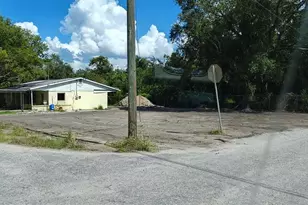 131 East Bay Blvd S, Lake Wales, FL 33859 - Photo 1