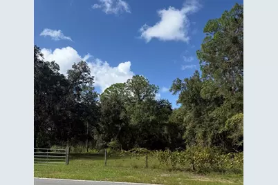 Old Kissimmee Road, Davenport, FL 33896 - Photo 2
