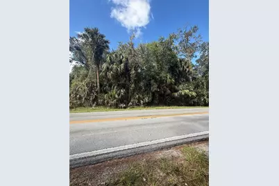 Old Kissimmee Road, Davenport, FL 33896 - Photo 6