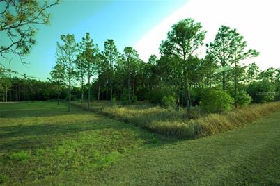 30150 Overpass Road, Wesley Chapel, FL 33545 - Photo 10