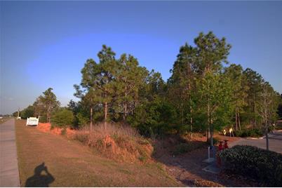30150 Overpass Road, Wesley Chapel, FL 33545 - Photo 1