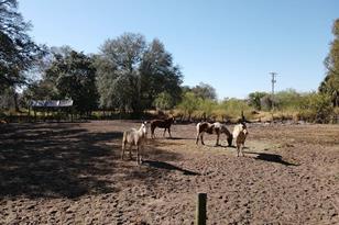 5614 Watson Rd, Riverview, FL 33578 - Photo 8