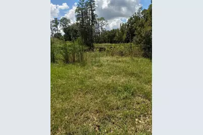 2902 W Lutz Lake Fern Road, Lutz, FL 33558 - Photo 24