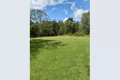 2902 W Lutz Lake Fern Road, Lutz, FL 33558 - Photo 20