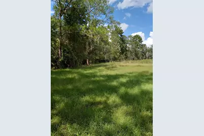 2902 W Lutz Lake Fern Road, Lutz, FL 33558 - Photo 22