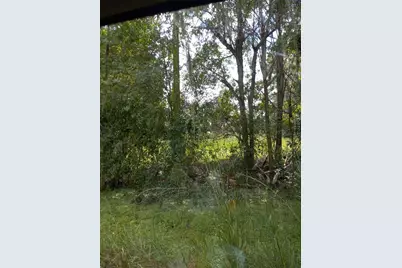 2902 W Lutz Lake Fern Road, Lutz, FL 33558 - Photo 10