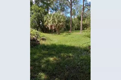 2902 W Lutz Lake Fern Road, Lutz, FL 33558 - Photo 18