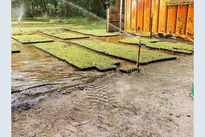 8751 Ridge Rd, New Port Richey, FL 34654 - Photo 4