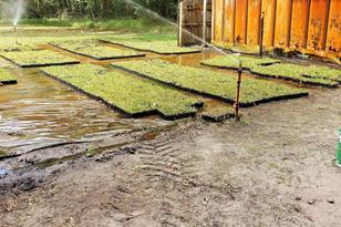 8751 Ridge Rd, New Port Richey, FL 34654 - Photo 4