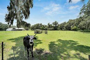 3003 N Wilder Rd, Plant City, FL 33563 - Photo 52