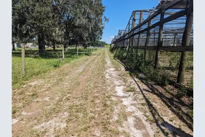 16070 Carlton Lake Road, Wimauma, FL 33598 - Photo 8