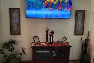 411 Bryan Rd, Brandon, FL 33511 - Photo 24