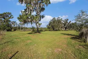 331 Lewis Rd, Lithia, FL 33547 - Photo 60
