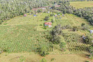 331 Lewis Rd, Lithia, FL 33547 - Photo 72