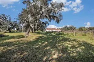 331 Lewis Rd, Lithia, FL 33547 - Photo 50