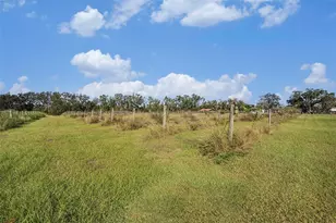 331 Lewis Rd, Lithia, FL 33547 - Photo 54