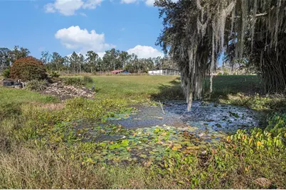 331 Lewis Road, Lithia, FL 33547 - Photo 62