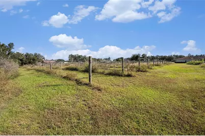 331 Lewis Road, Lithia, FL 33547 - Photo 54