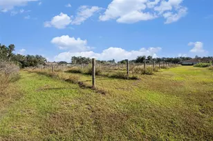 331 Lewis Rd, Lithia, FL 33547 - Photo 54