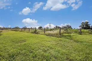 331 Lewis Rd, Lithia, FL 33547 - Photo 52