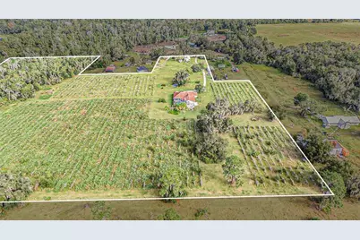331 Lewis Road, Lithia, FL 33547 - Photo 76