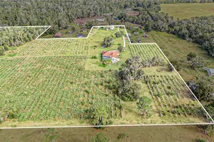 331 Lewis Rd, Lithia, FL 33547 - Photo 76