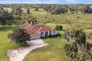 331 Lewis Rd, Lithia, FL 33547 - Photo 78