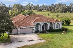 331 Lewis Rd, Lithia, FL 33547 - Photo 4