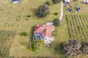 331 Lewis Rd, Lithia, FL 33547 - Photo 64
