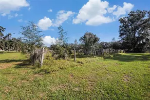 331 Lewis Rd, Lithia, FL 33547 - Photo 58
