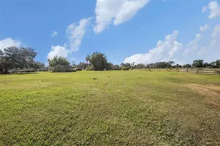 331 Lewis Rd, Lithia, FL 33547 - Photo 50