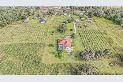331 Lewis Road, Lithia, FL 33547 - Photo 68